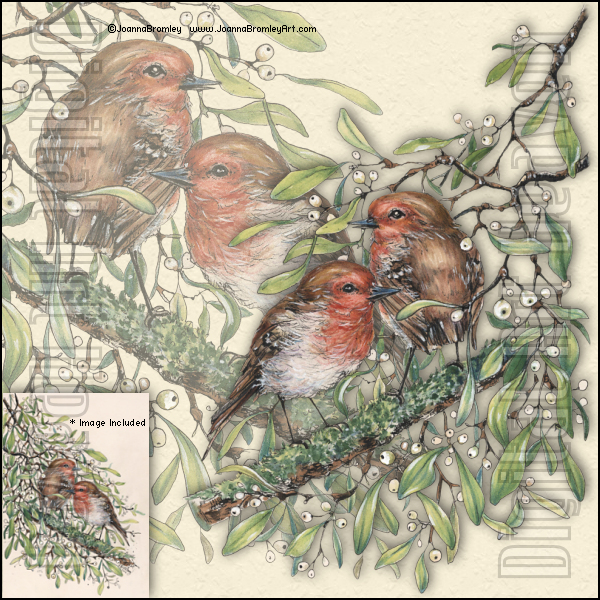 JoannaBromley-Robins in the Mistletoe